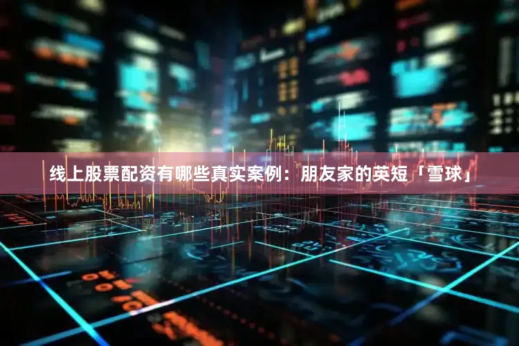 线上股票配资有哪些真实案例：朋友家的英短「雪球」