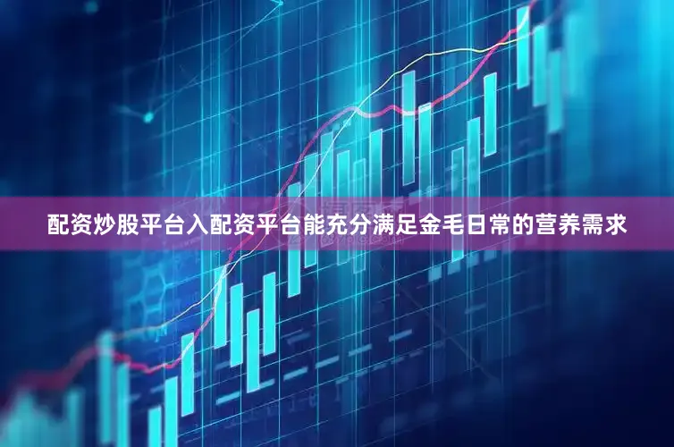 配资炒股平台入配资平台能充分满足金毛日常的营养需求